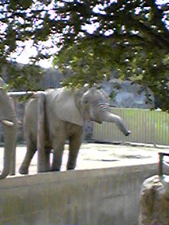 動物園2