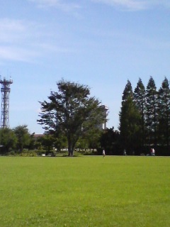 公園