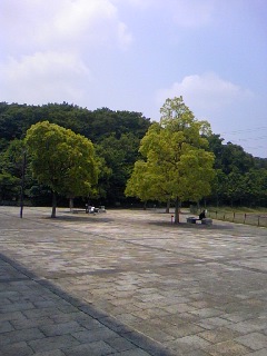 公園